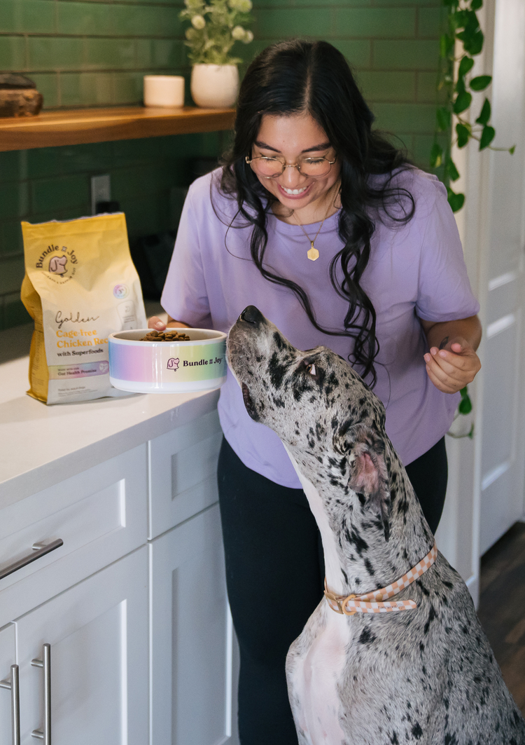 The Comeback of Dry Kibble