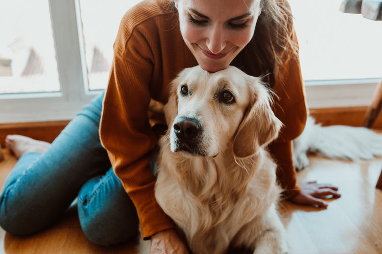 What Is Colostrum for Dogs? The Gut Health Upgrade Your Dog Actually Needs.