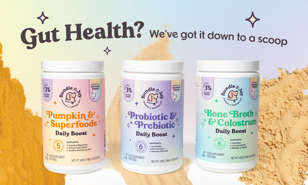 Keep Your Pup Happy & Regular While Traveling