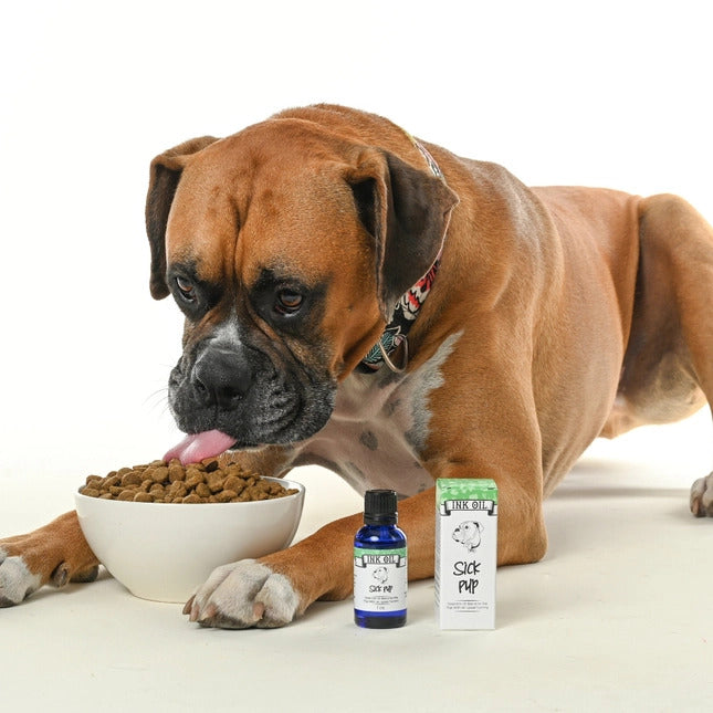 Sick Pup Essential Oil For the Dog W Digestive Issues