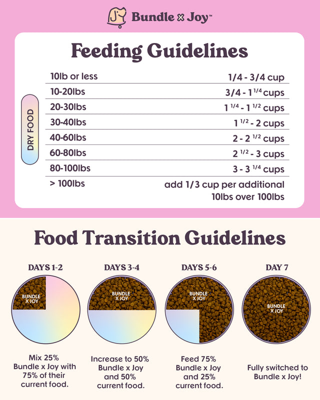 Brave | Lamb Recipe Allergy-Friendly Dog Food with Probiotics