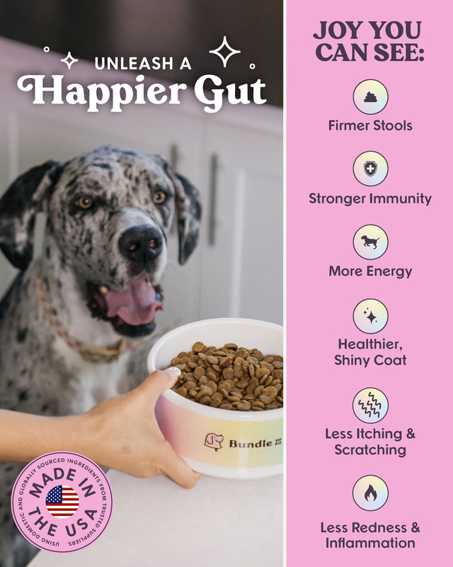 Brave | Lamb Recipe Allergy-Friendly Dog Food with Probiotics