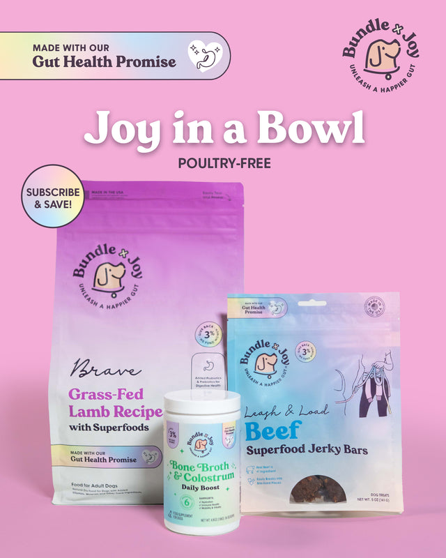 Brave | Lamb Recipe Allergy-Friendly Dog Food with Probiotics