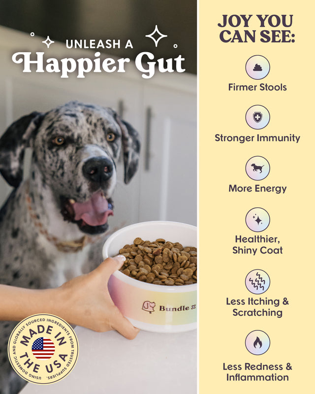 Golden | Grain-Free Chicken Recipe Dog Food