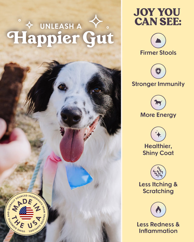 Rise & Shine Chicken Jerky Treats for Dogs | Made in USA