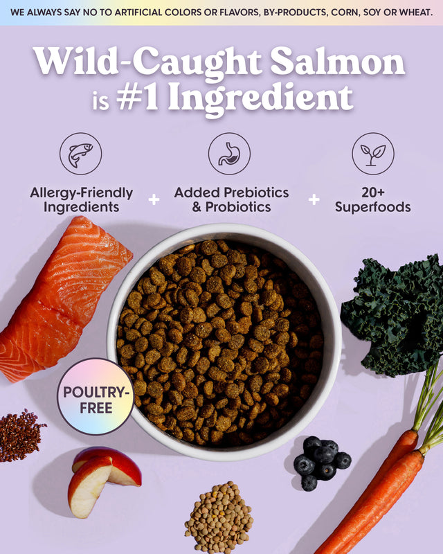 Vibrant | Allergy-Friendly Wild-Caught Salmon Recipe Dog Food