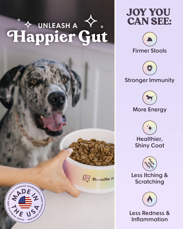 Vibrant | Allergy-Friendly Wild-Caught Salmon Recipe Dog Food