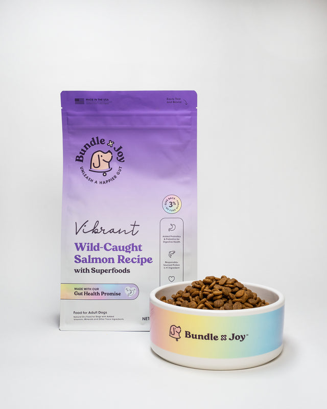 Vibrant - Main Image