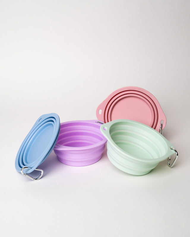 Collapsible Water Food Bowls