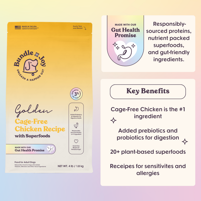 Golden Grain-Free Chicken Recipe Dog Food - Main Image