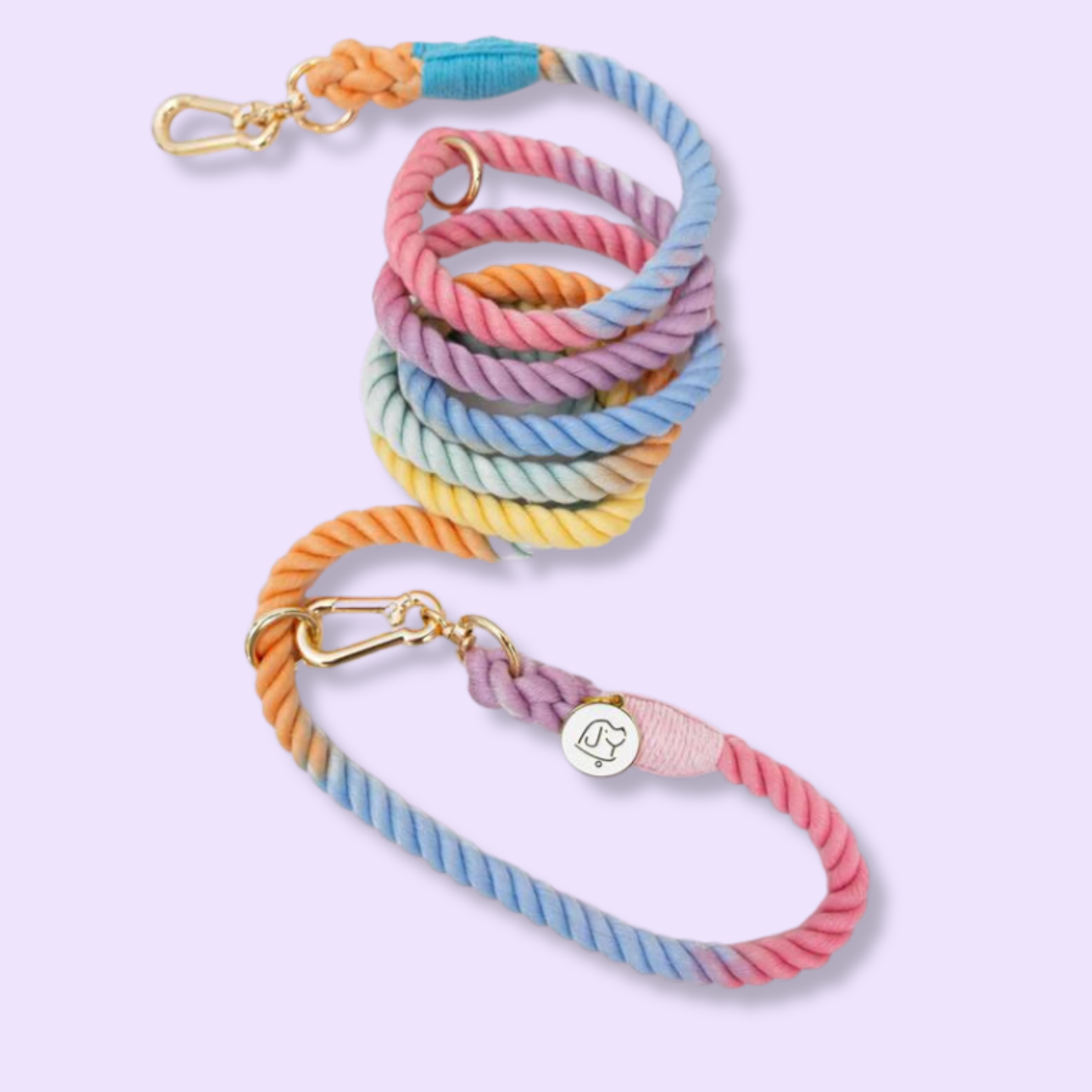 Joy Gradient Leash | Hands-Free Dog Walking with Style Joy Gradient Leash | Hands-Free Dog Walking with Style