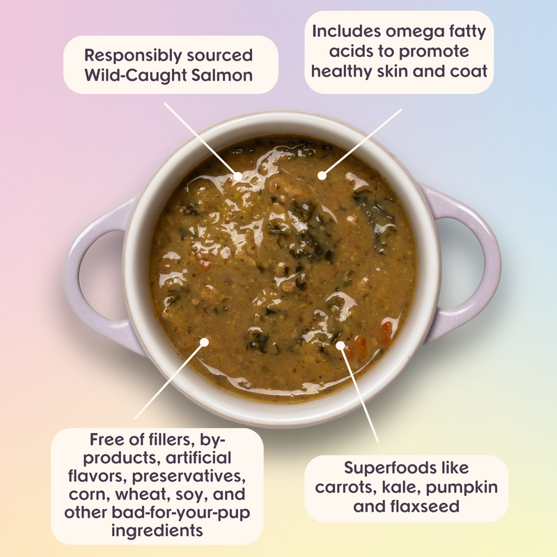 Superfood Stews