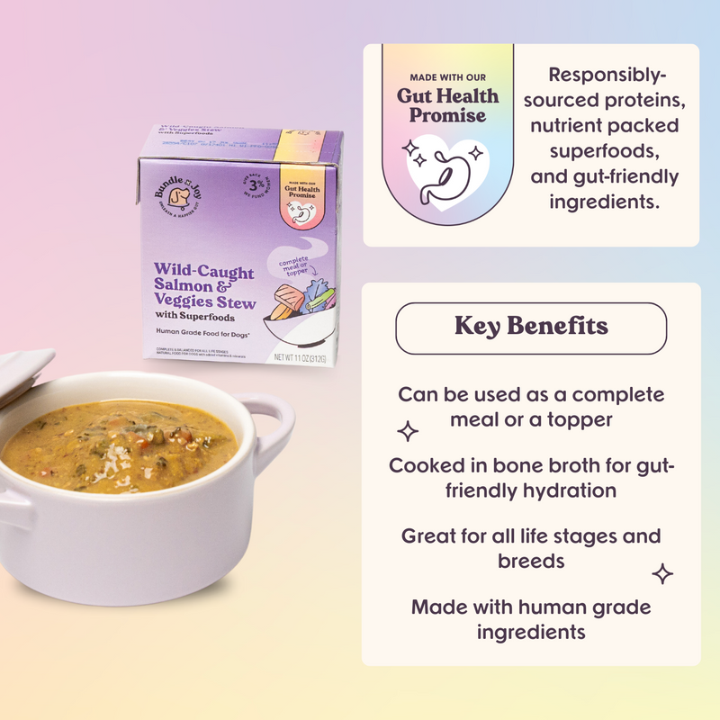 Wild-Caught Salmon & Veggies Superfood Stew 11 oz