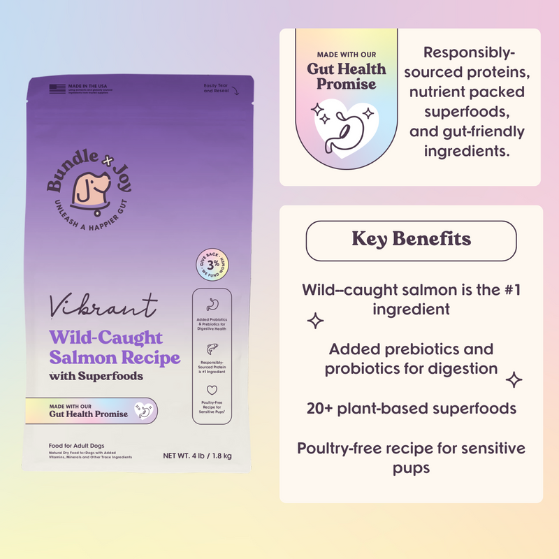 Vibrant Allergy-Friendly Wild-Caught Salmon Recipe Dog Food