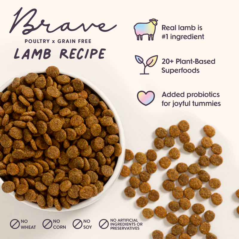 Braveness online dog food