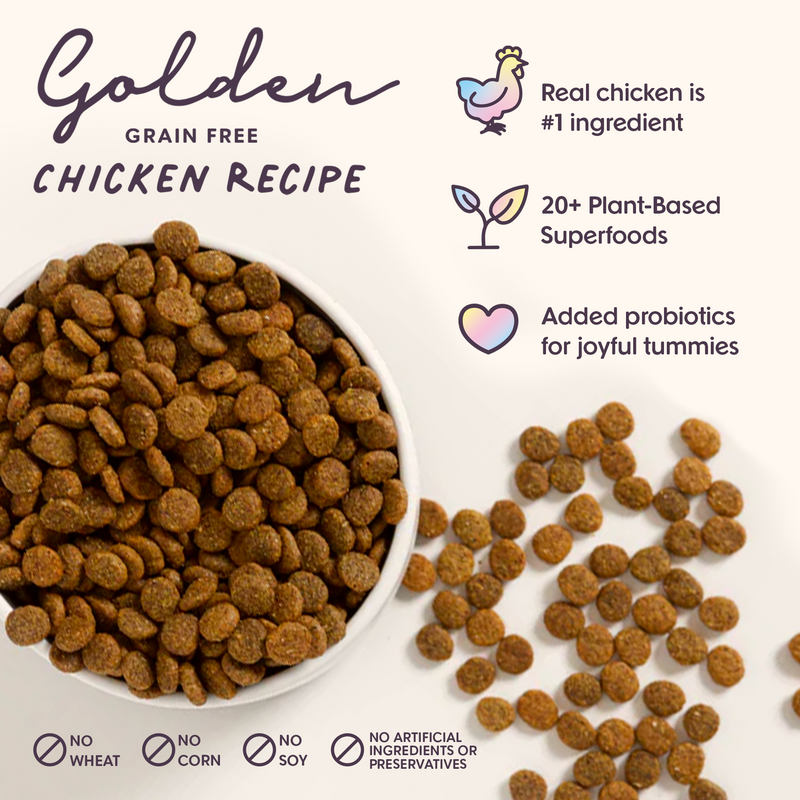 Golden - Chicken Recipe Food